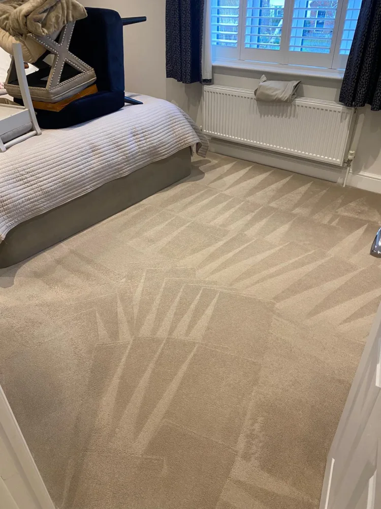 How Often Should You Get Your Carpets Professionally Cleaned?